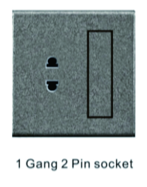 1 Gang 2 Pin socket