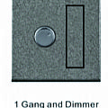 1 Gang and Dimmer
