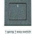 1 gang 1 way switch1 gang 2 way switch