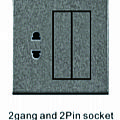 2gang and 2Pin socket