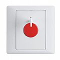 报警开关Alarm switch