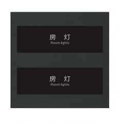 酒店-二位开关（弱电）